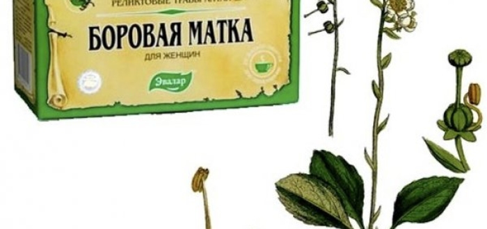 Бесплодие – серьезная проблема