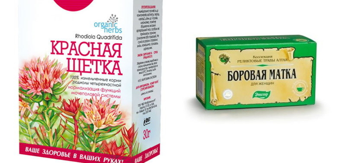 Благодаря находящимся в составе родиолы фитогормонам