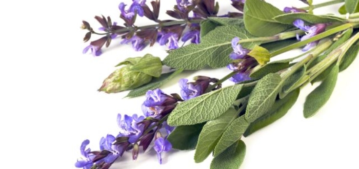 Бывают различные лекарственные формы средств