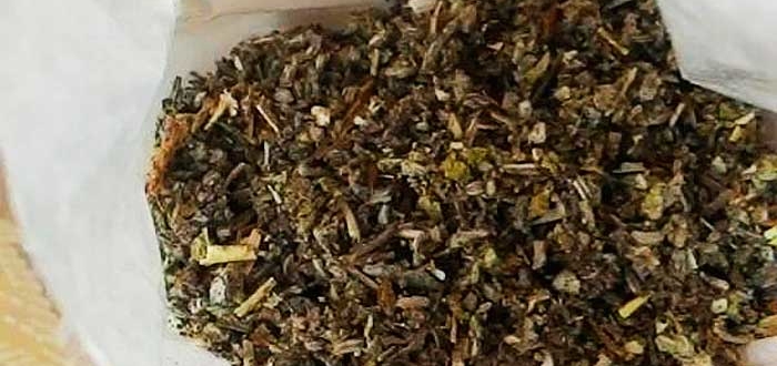 ятрышник пятнистый